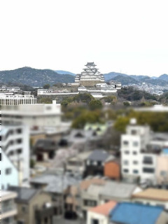 名称未設定-5